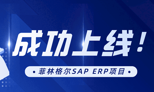 菲林格爾：SAP項(xiàng)目是菲林格爾數(shù)字轉(zhuǎn)型邁出的重要一步，是促進(jìn)企業(yè)發(fā)展的重要途徑